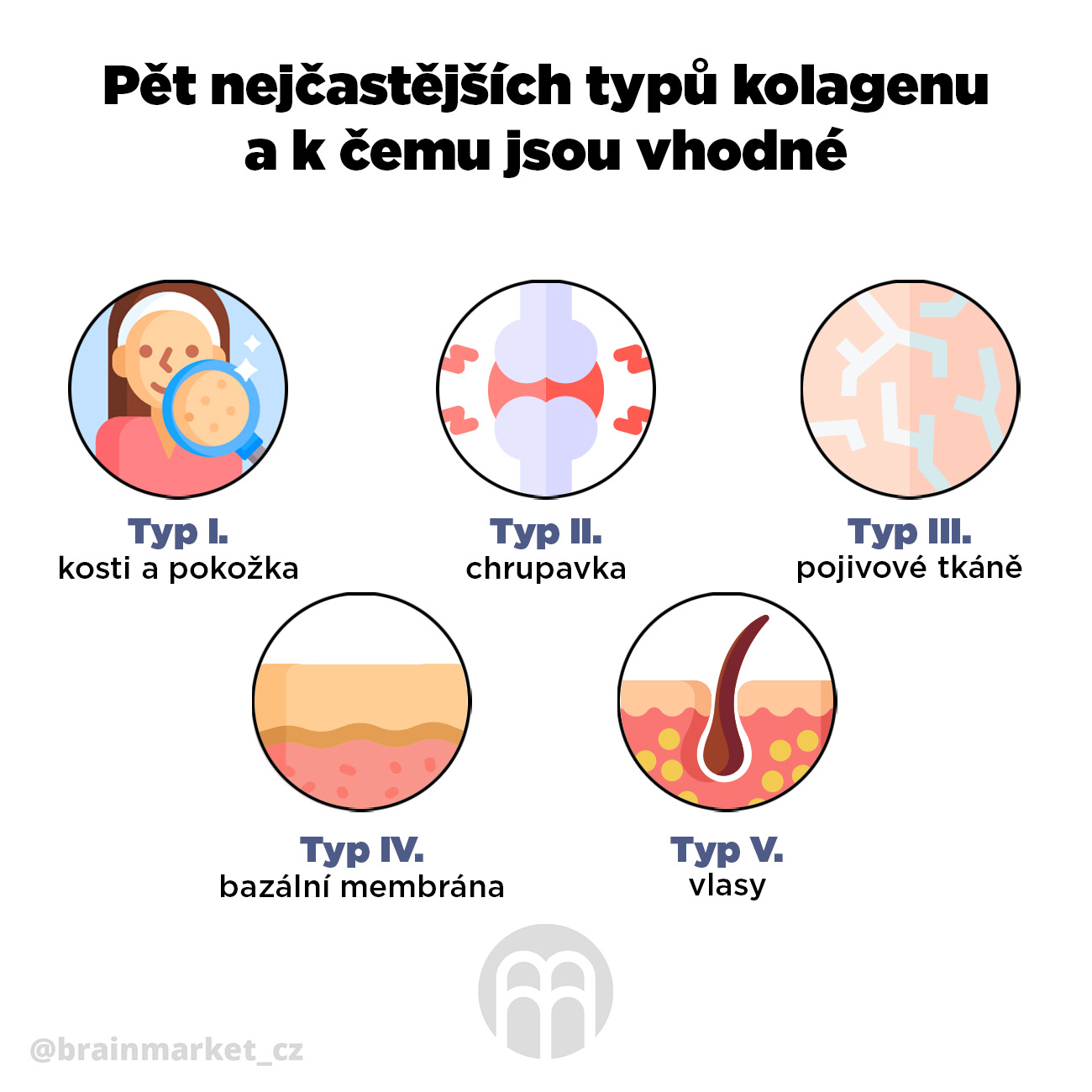 Pět nejčastějších typů kolagenu a k čemu jsou vhodné infografika brainmarket cz_1